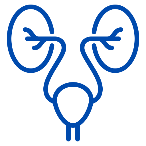 ÉQUIPEMENT D'UROLOGIE | Medica Algerie